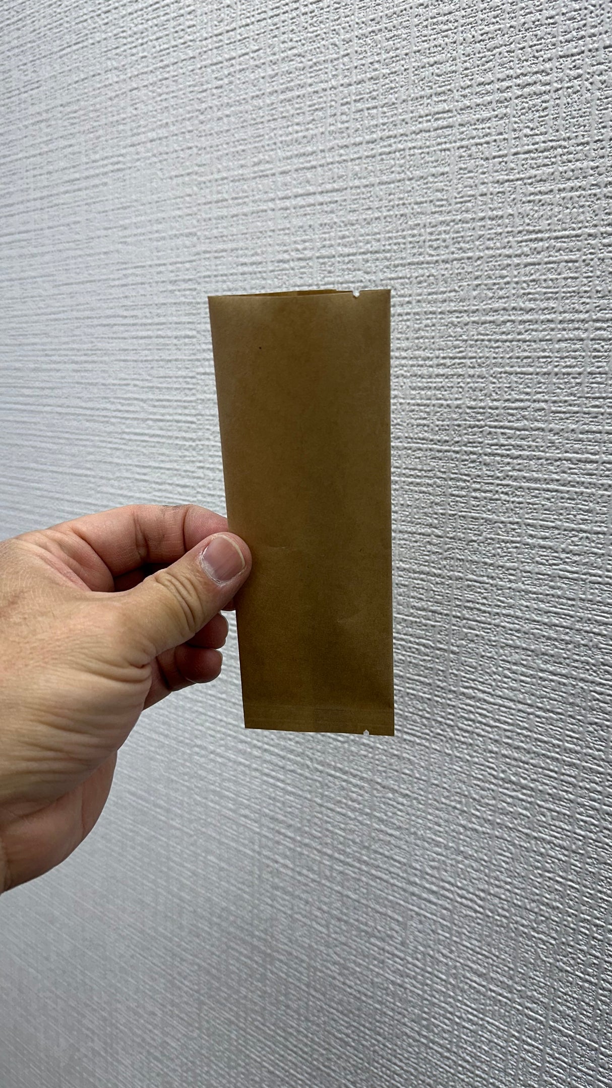 Seiwa 50661: 抹茶袋 クラフト ブラウン サンプル用平袋 (55x150 mm)