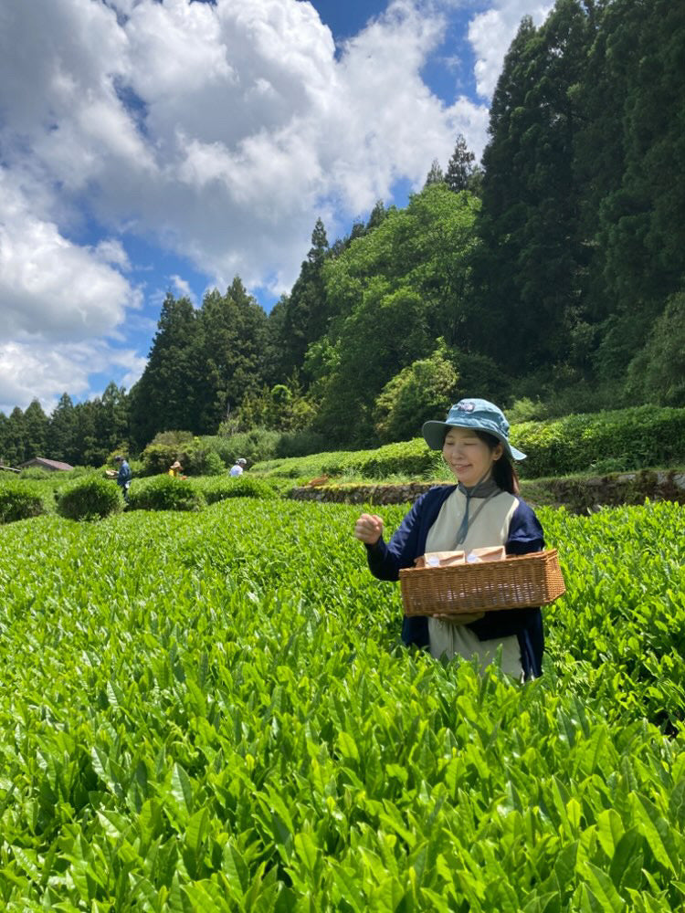 #0894.A1 Tsubame to Chabatake: Farm Direct Sencha from Nukata Village, Okazaki, Aichi