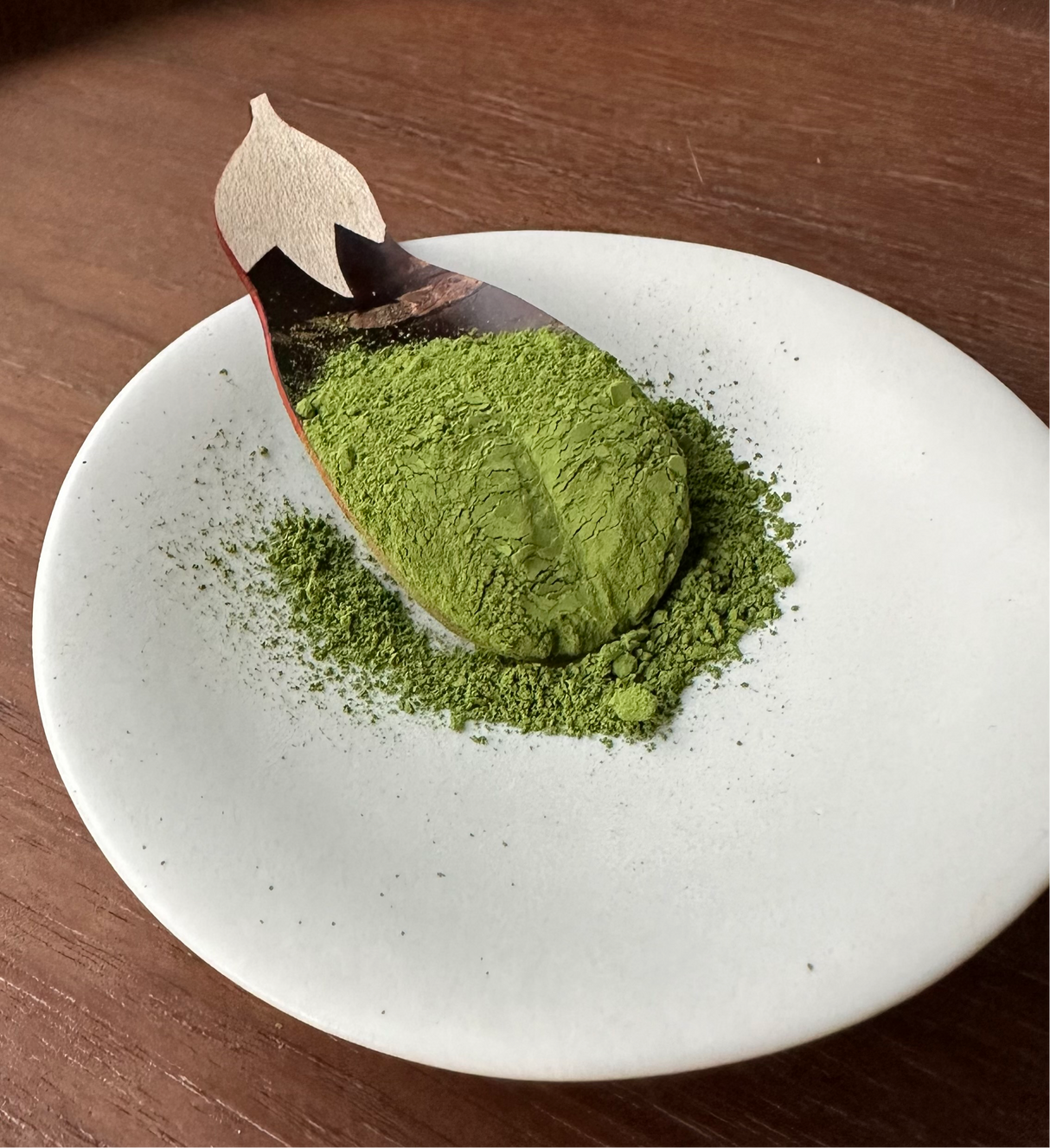 Studio Lesson - Tea Professional or Connoisseur Level - Personalized Deep Dive Into Japanese Tea