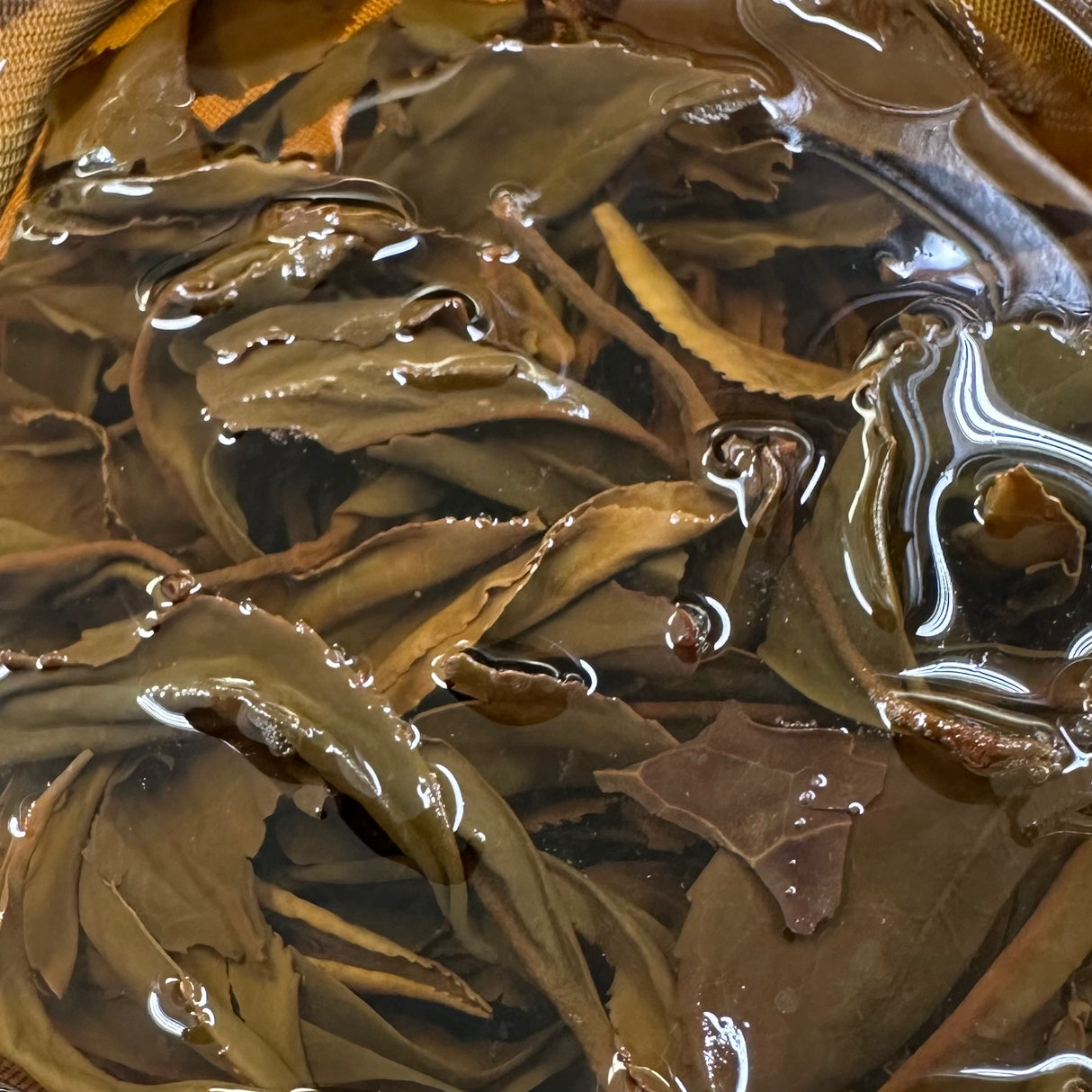 #0724.J1 吉田茶園:さしま茶 やぶきた みっしょう セカンドフラッシュ 単一品種紅茶(和紅茶)