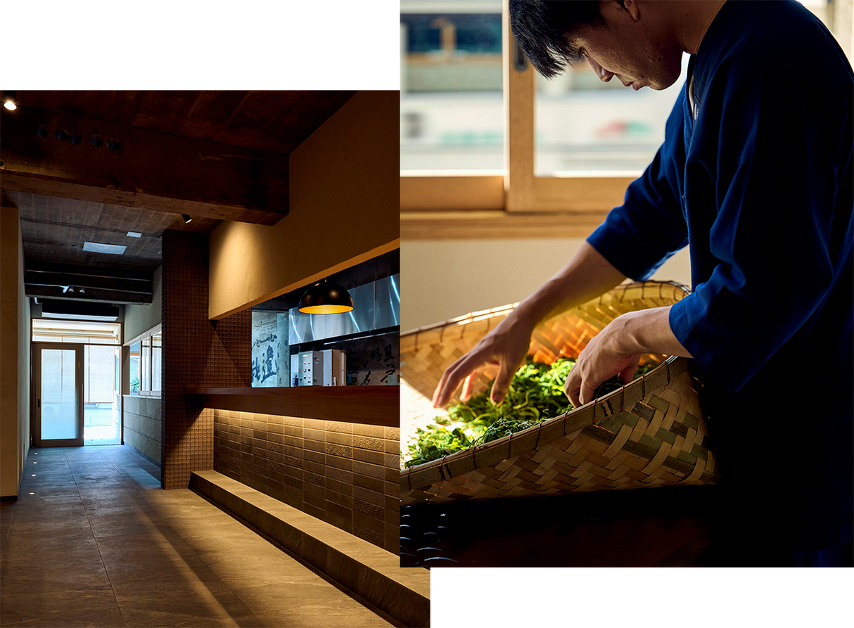 #0232.K2 Baisa Nakamura: Kirishima Sencha Z1 (Single Cultivar)