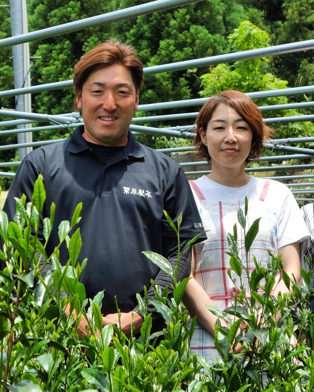 PREORDER available in June 🍵 2026 #0068.F2 Kurihara Tea: Competition Grade Saemidori Heritage Gyokuro Green Tea