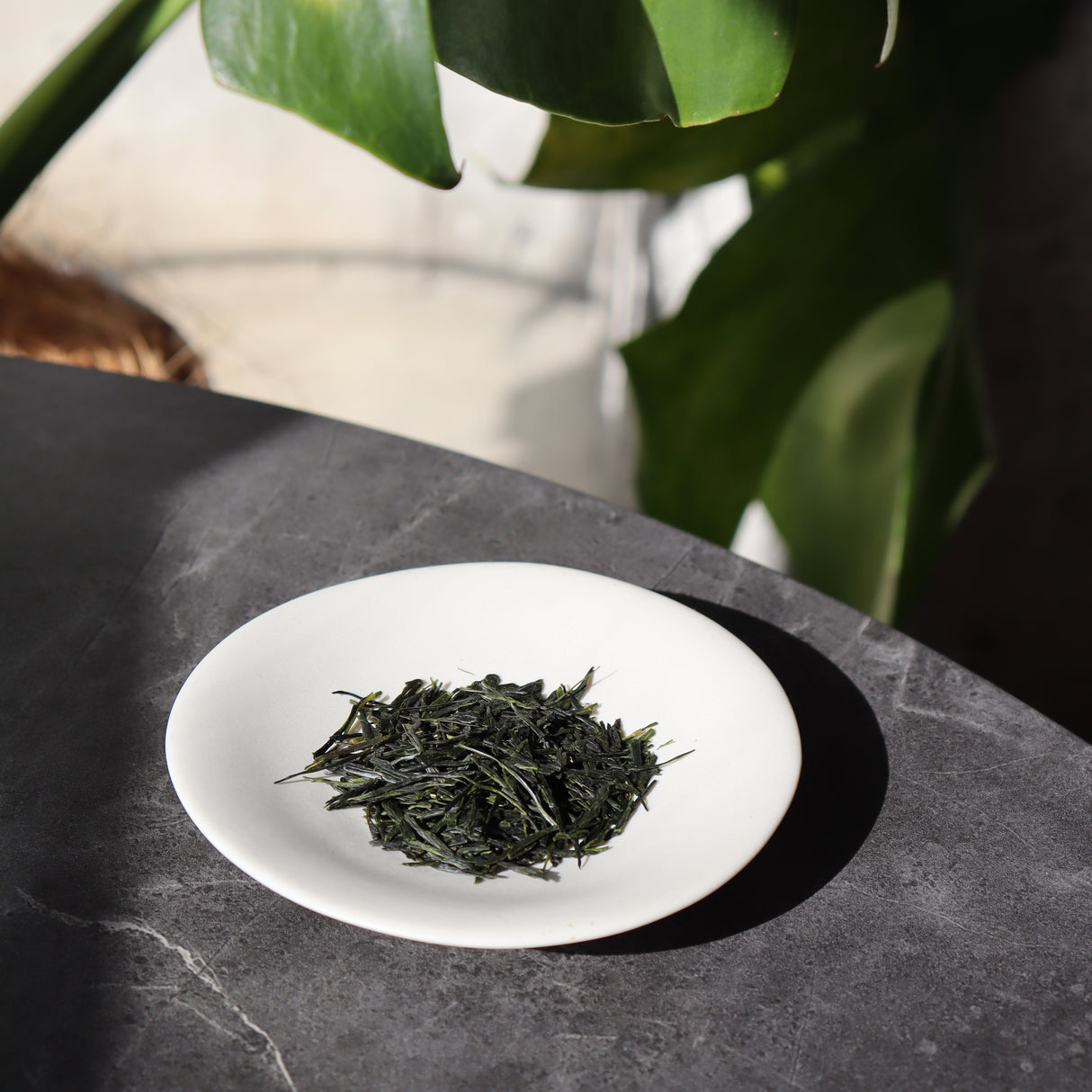 #0349.K2 Tanegashima Island Shoju (micro batch, limited) - Single Cultivar Sencha - Iba Takahiro Tea Garden