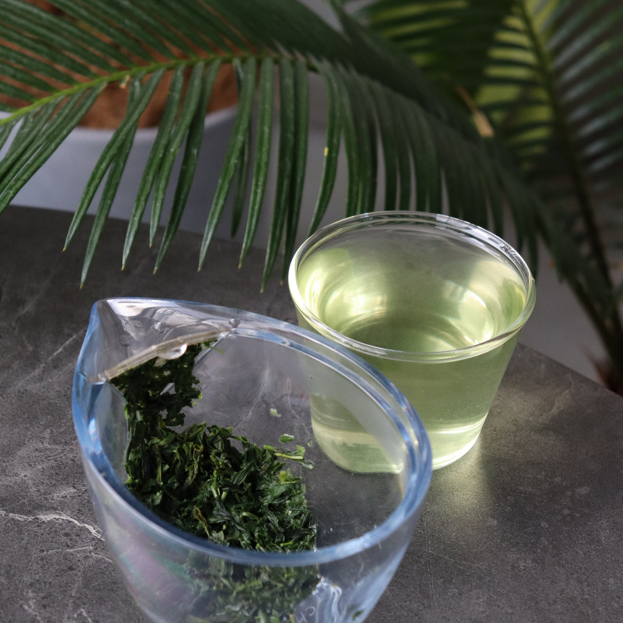 2025 #0700.K6 Uejima Tea Farm: Single Cultivar Yabukita Sencha from Wazuka, Kyoto