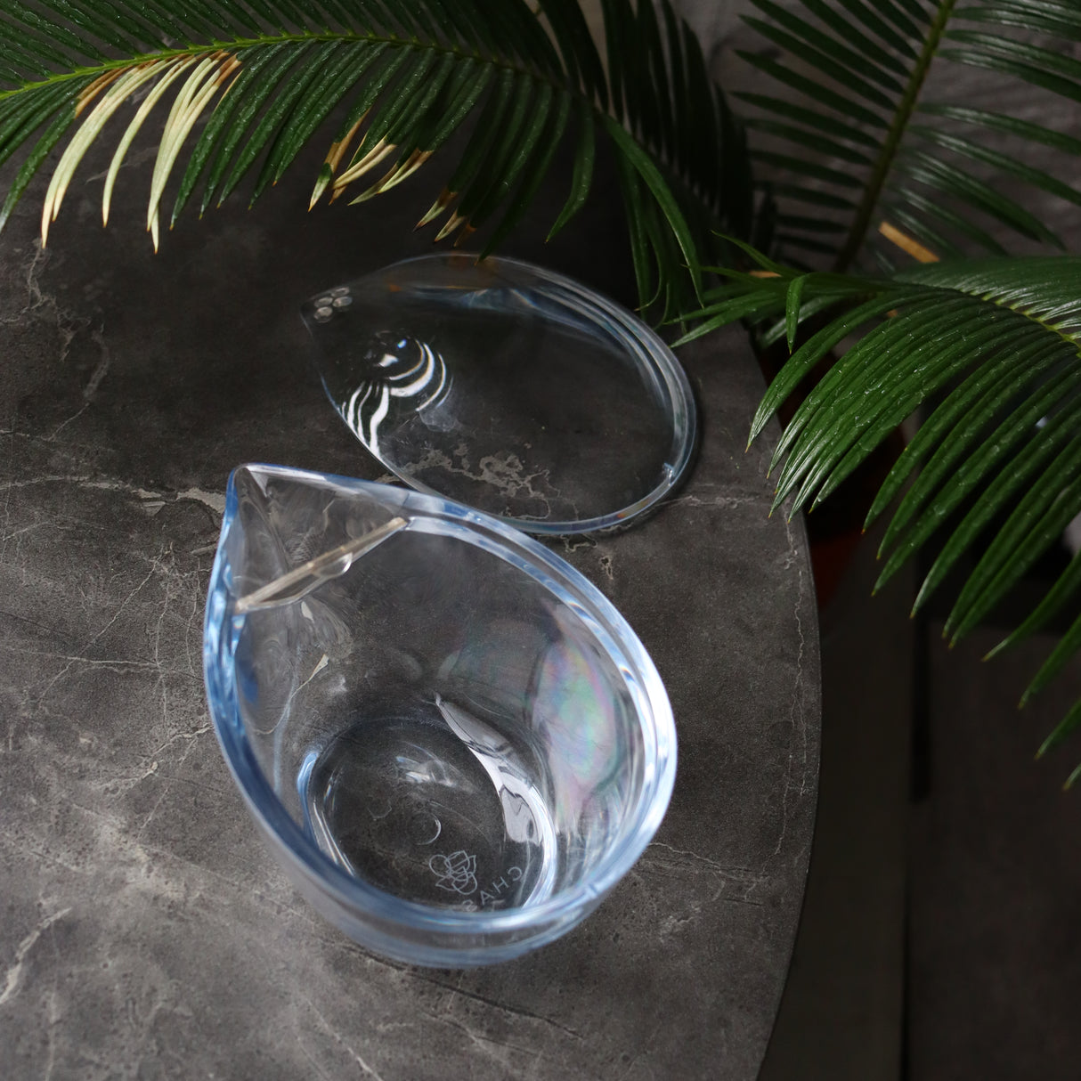 CHASTA 耐熱トライタン ティーポット