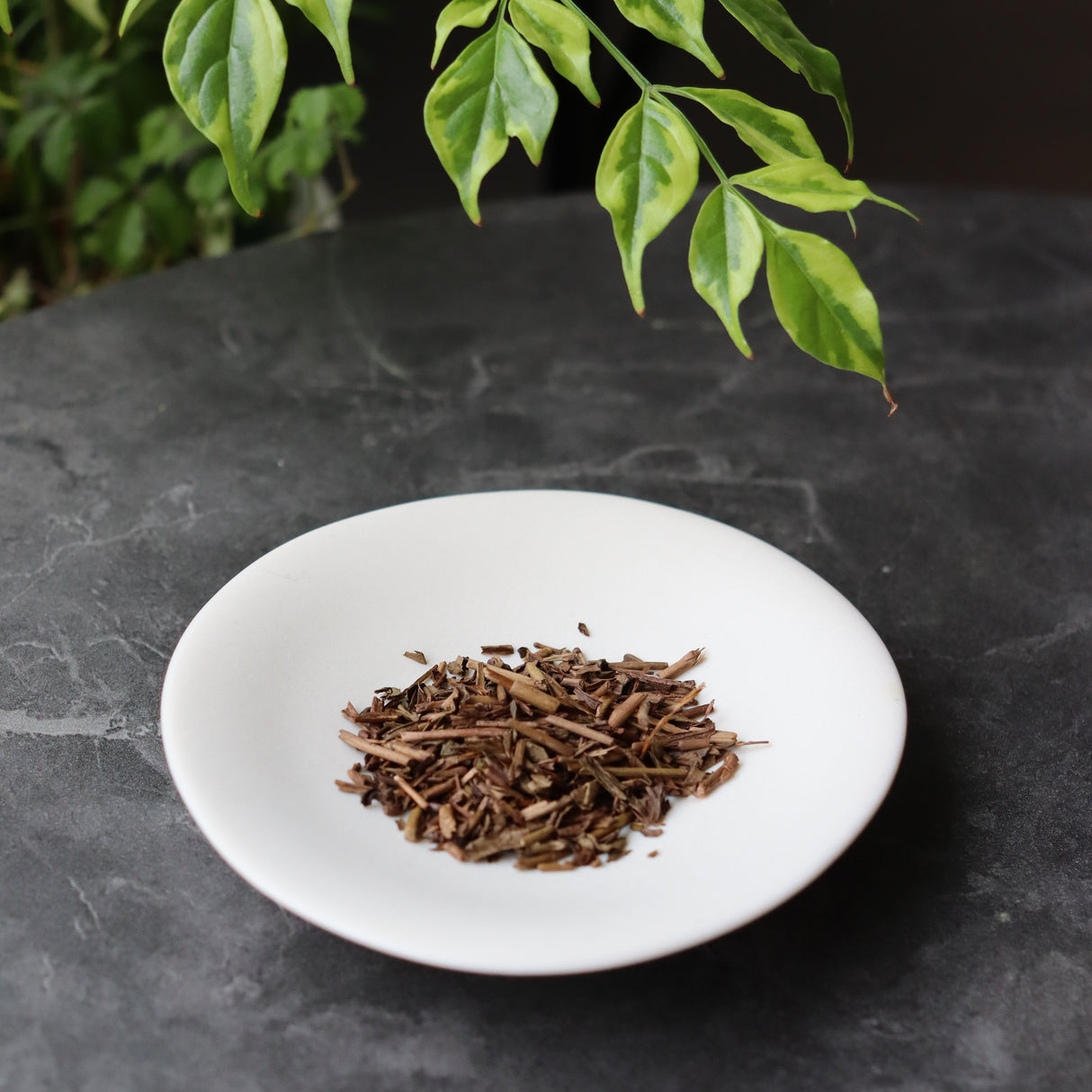 #0211.S5 Dobashien Tea #18: Kakegawa Series: Premium Shizuoka Hojicha Roasted Green Tea 特上ほうじ茶 100g