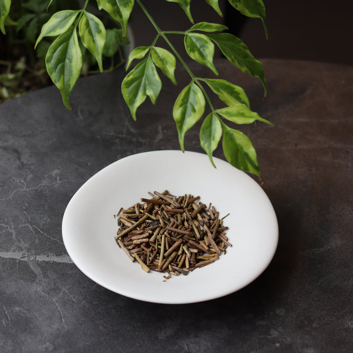 #0210.S5 Dobashien Tea #17: Kakegawa Series: Imperial Shizuoka Hojicha Roasted Green Tea Leaf Stems 極上ほうじ茶