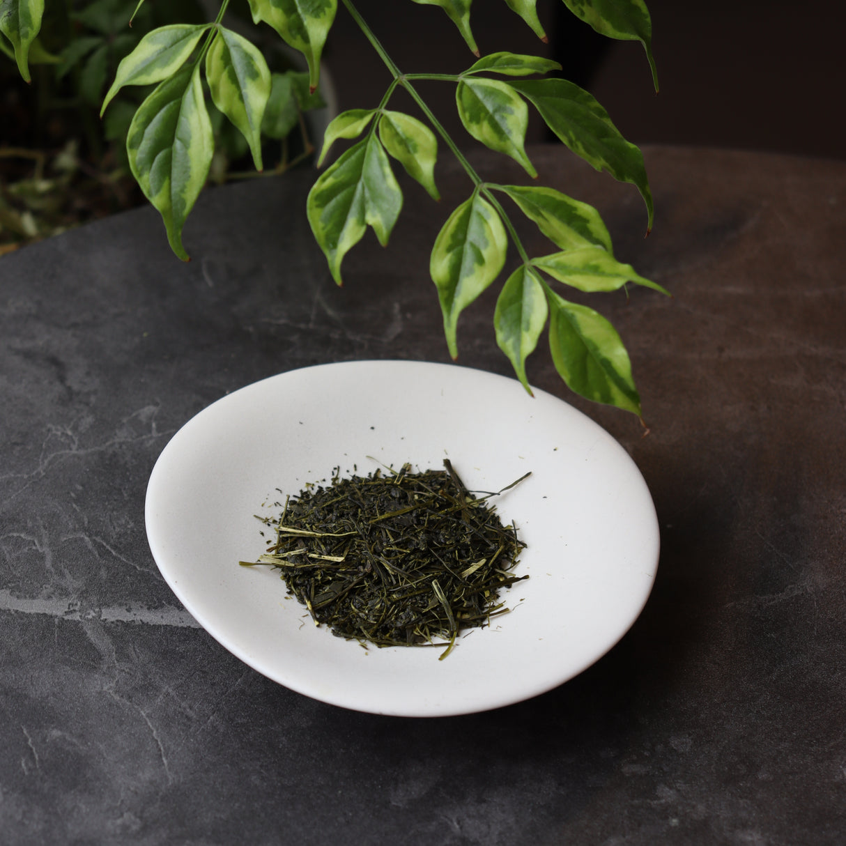 Dobashien Tea #12: Kakegawa-sarja: Spring Harvested Shizuoka Aracha, Hatsumidori 荒茶 初緑 200g
