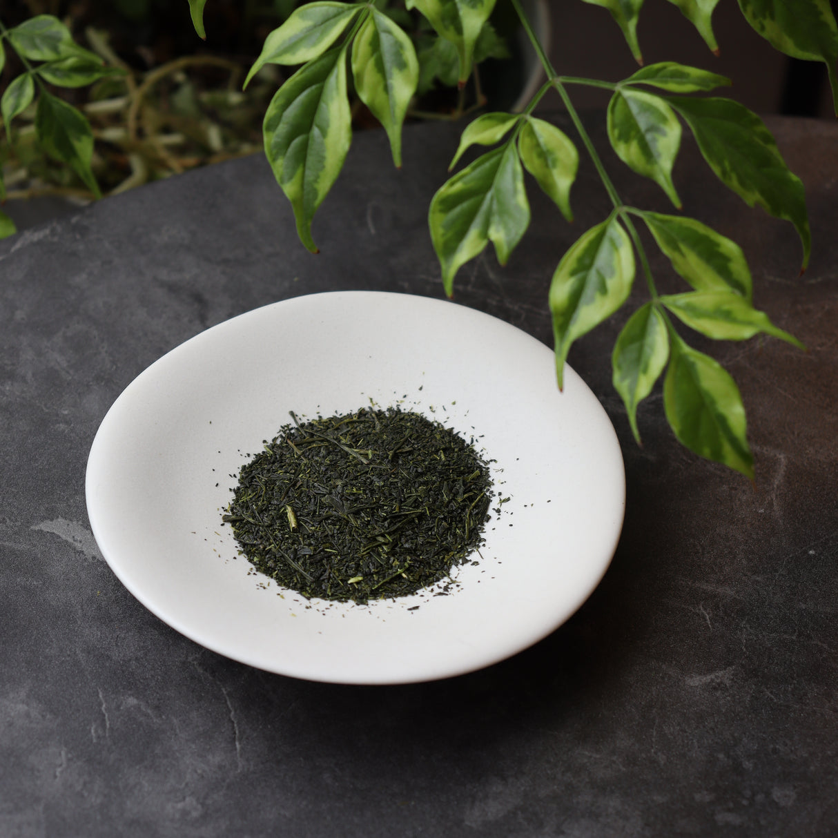 #0203.S5 Dobashien Tea #10: Kakegawa Series: Superior Sencha Rikyu 煎茶 利休