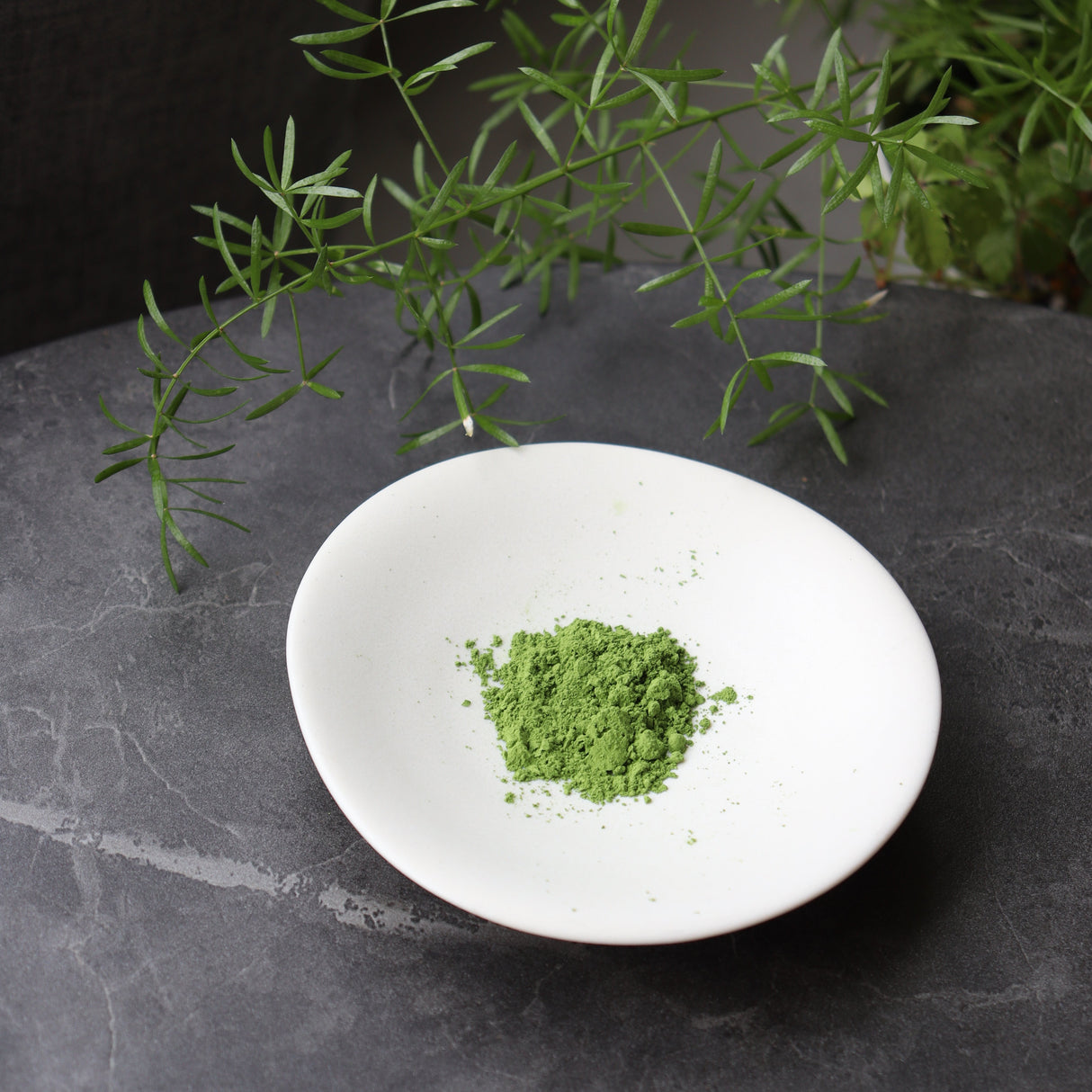 #0871.S5 Chikumeido: Usucha Matcha Kaigetsu no Shiro 抹茶【海月の白】