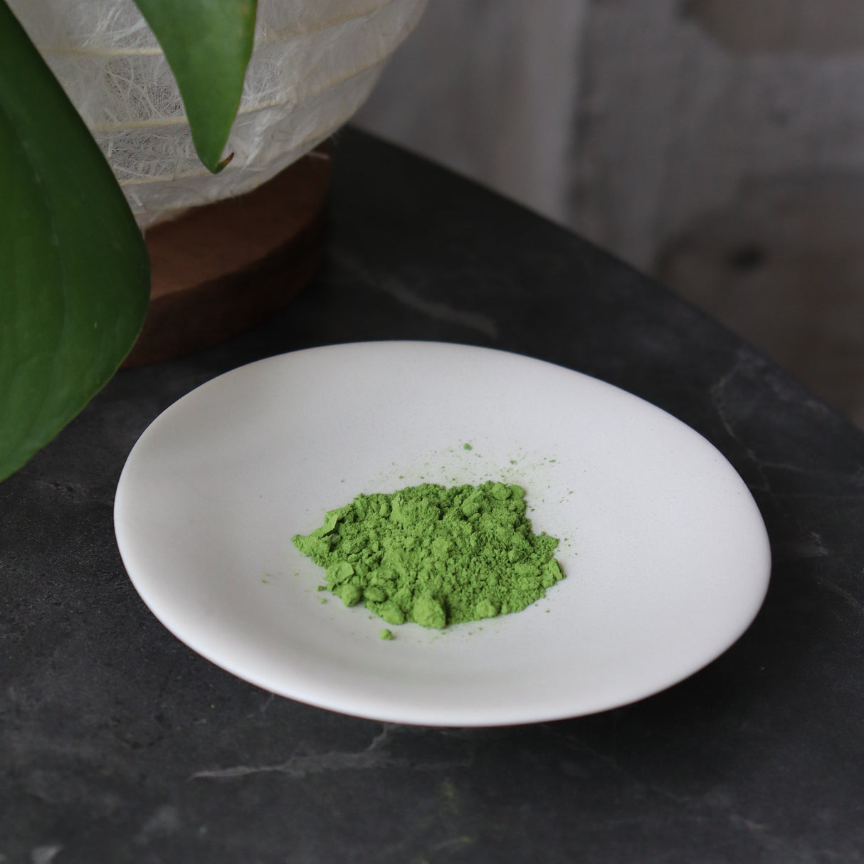 #0869.S5 Chikumeido: Usucha Matcha Hisakata no Shiro 抹茶【久方の白】