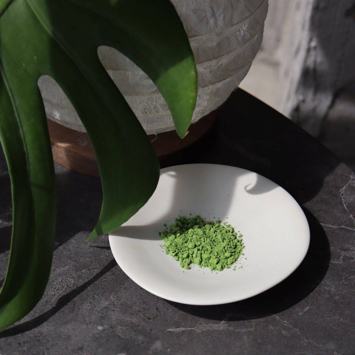 #0867.S5 Chikumeido: Koicha Matcha Housei no Mukashi 抹茶【鳳静の昔】