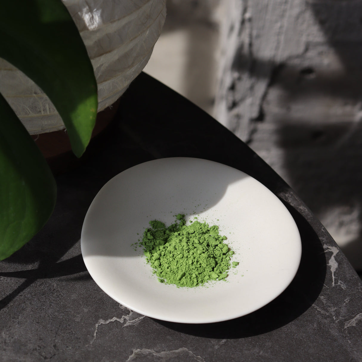 #0866.S5 Chikumeido: Koicha Matcha Surugamai 抹茶【駿河舞】