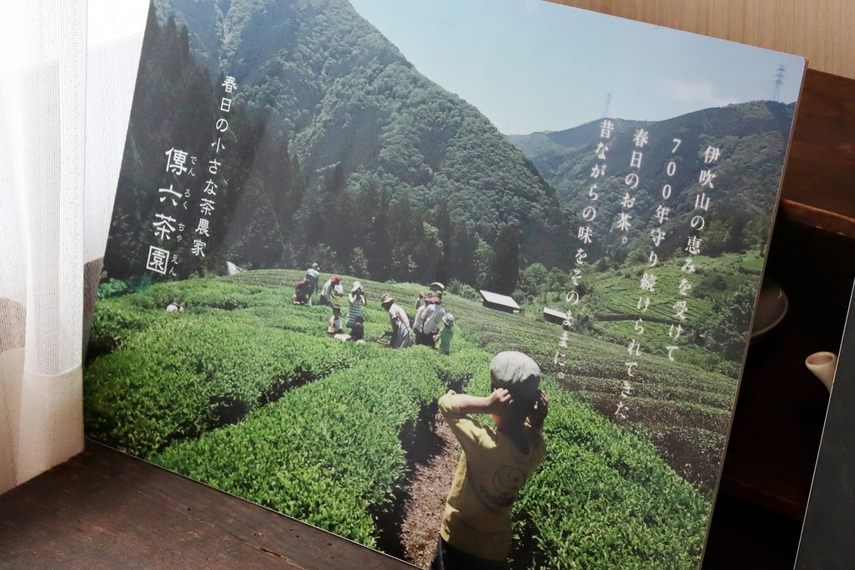 #1070.G1 Denroku Tea Garden: Ancient Mist - Hojicha |霧の古来茶 - ほうじ茶