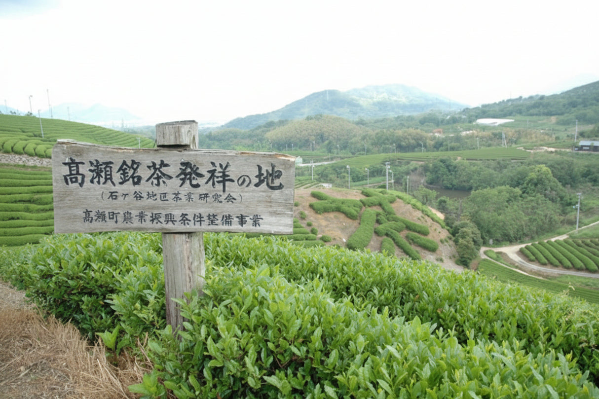 #1072.01 : 2026 Takase Tea Coop : Premium Sencha "Sanuki" / 特上煎茶「讃岐」