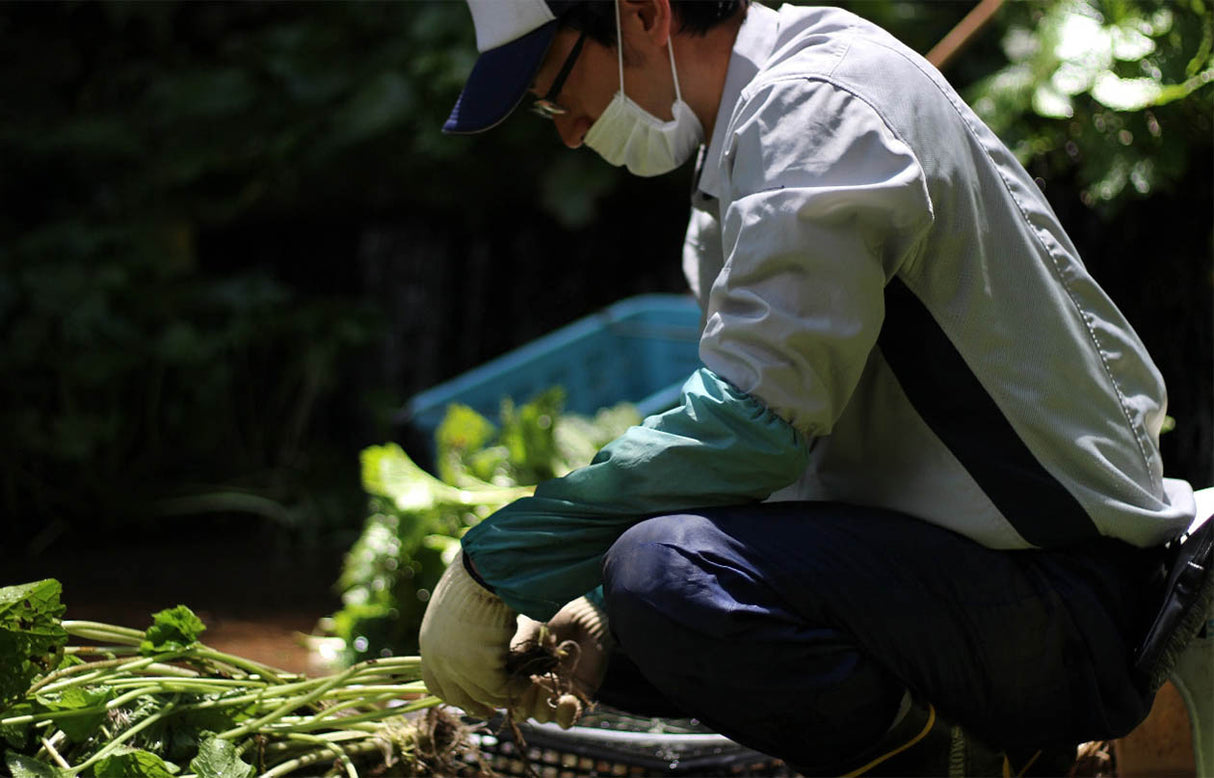 Kameya Foods: Farm Direct Wasabi Chazuke – riisiteekeiton mauste