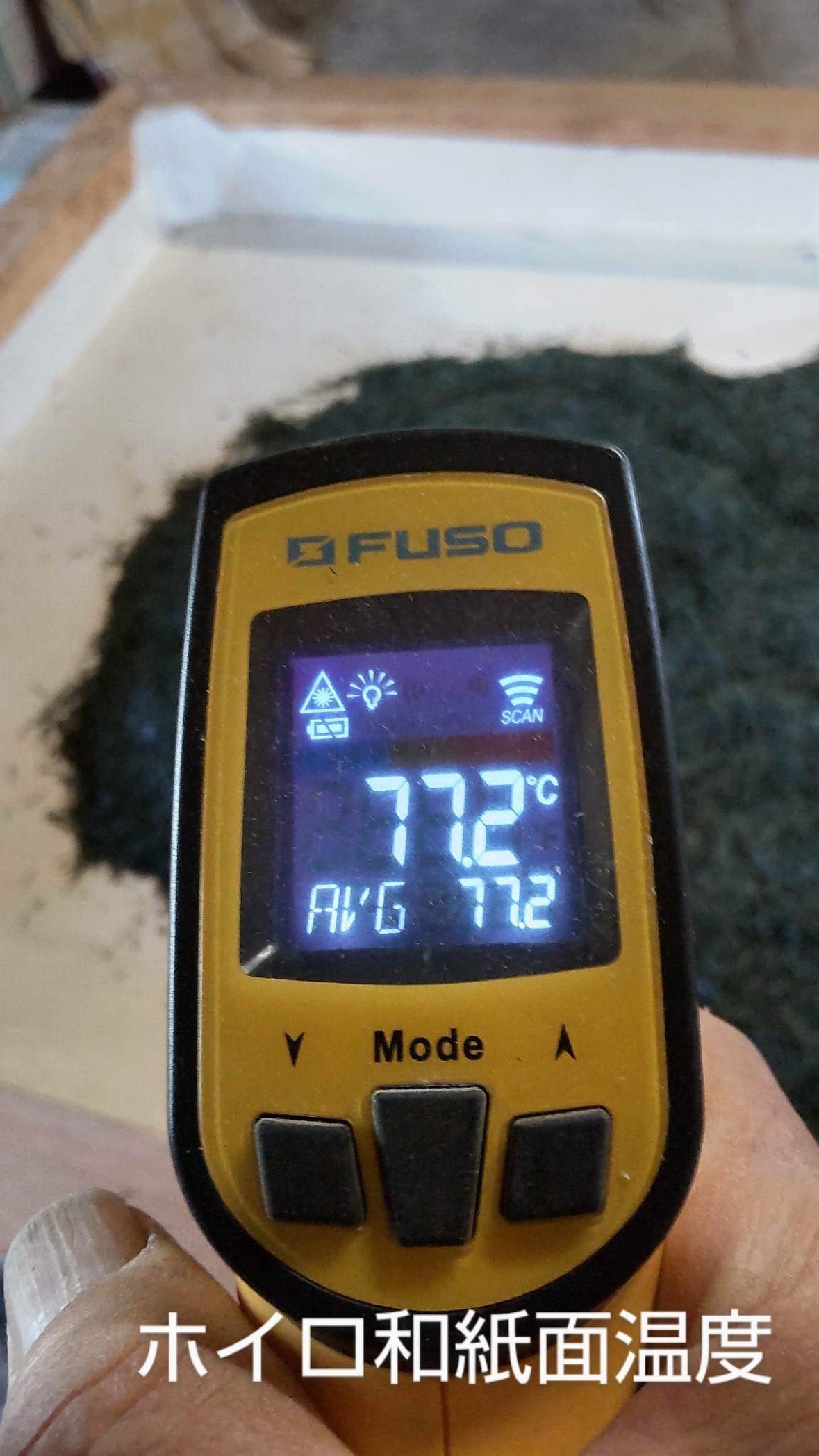 Kanes Tea: Honzu No. 5 - Kilpailuluokka Asamushi Sencha, Kawane, Shizuoka