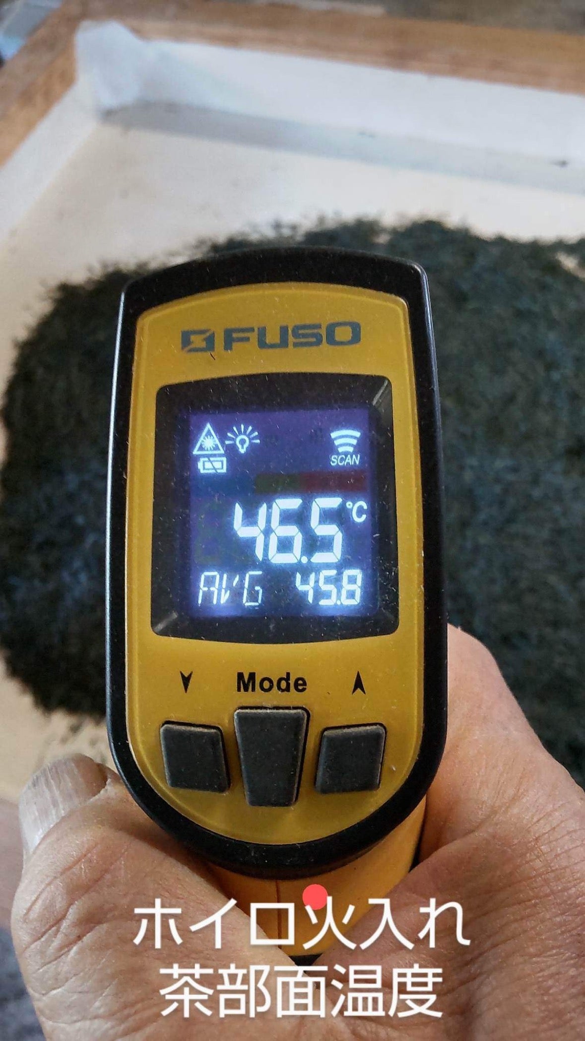 Kanes Tea: Honzu No. 5 - Kilpailuluokka Asamushi Sencha, Kawane, Shizuoka