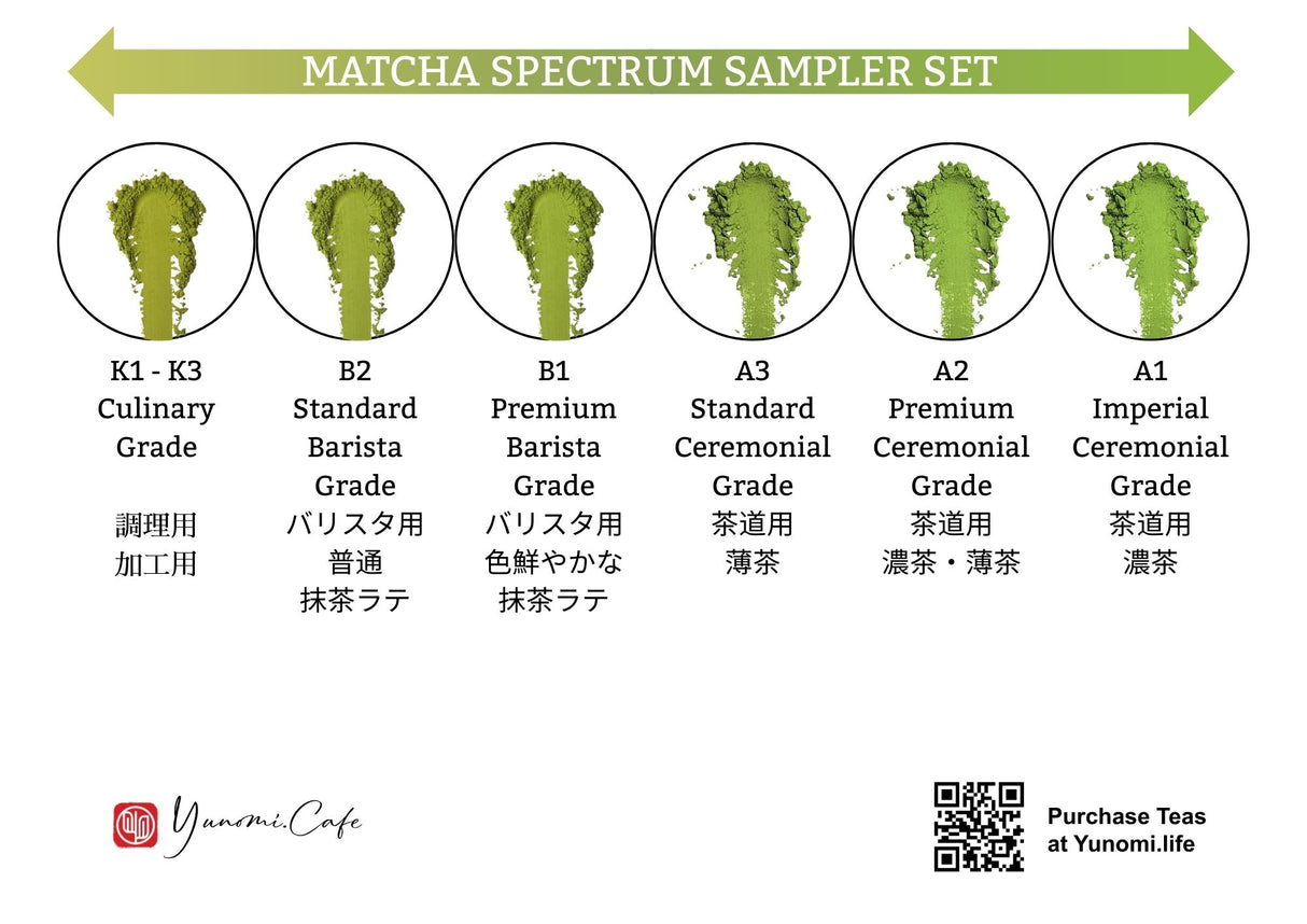 Yunomi.Dojo Tokyo Studio Lesson - Matcha Deep Dive