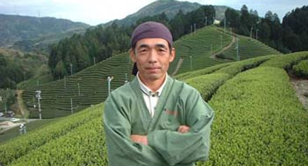 #0699.K6 Uejima Tea Farm: Single Cultivar Tsuyuhikari Sencha from Wazuka, Kyoto (Package may vary)