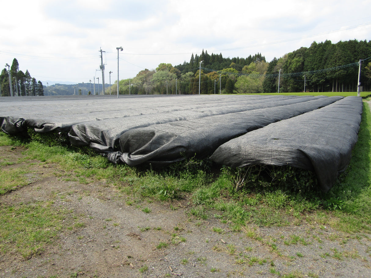 #0786.TX Yunomi.Matcha: Naturally Grown - Naruto - Premium Barista Grade