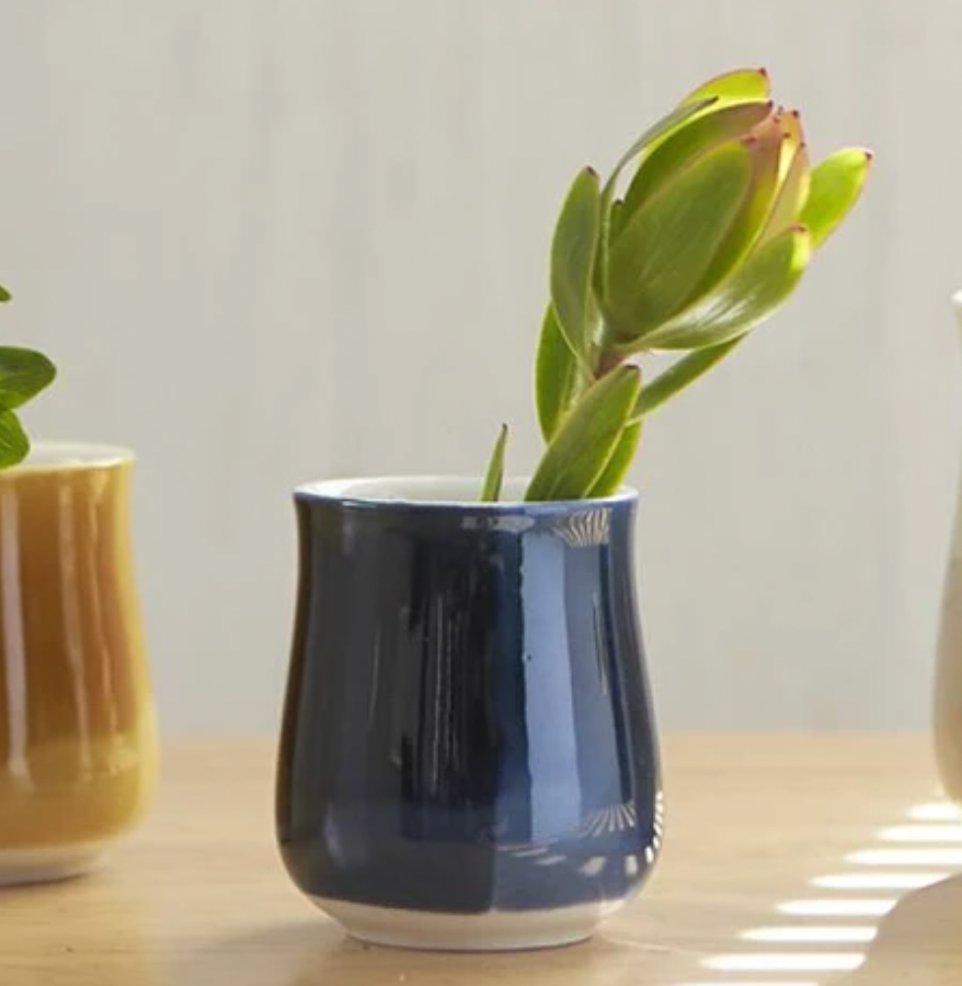 Miyama Minoyaki Oval Cup (Ink Blue) ポット(インクブルー)