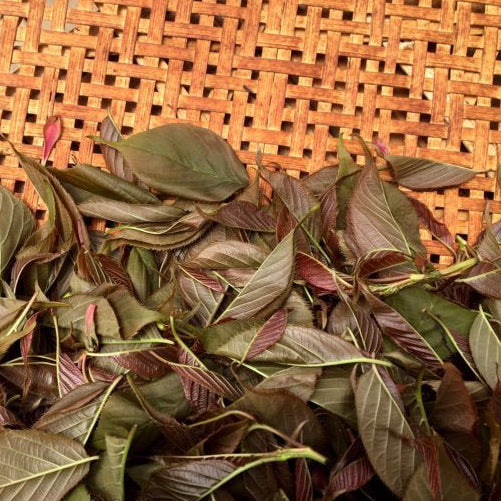 Chiyonoen Tea Garden: #27 Mountain-Grown Yame Sakura Leaf Black Tea 【矢部紅茶】春の香紅茶 桜のナチュラルフレーバー - Yunomi.life