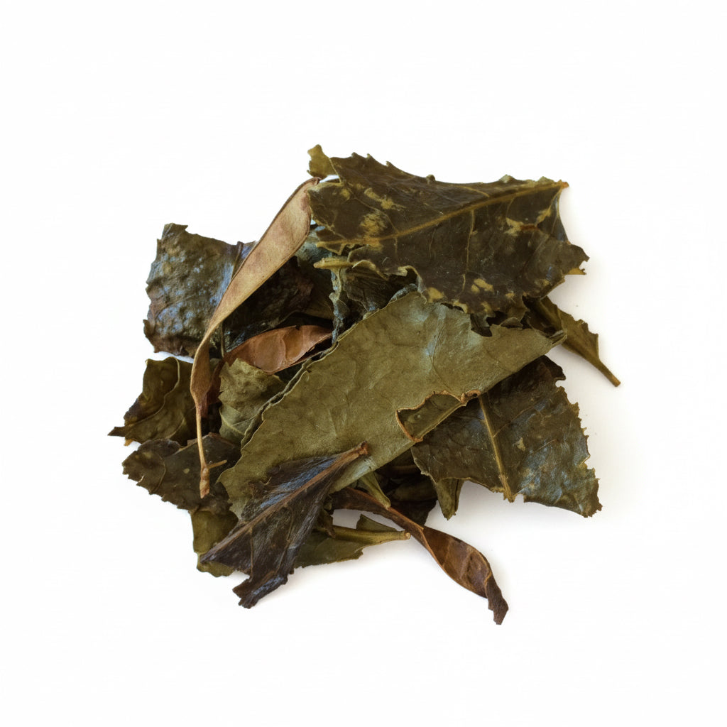 Furyu: Tosa Bancha ふりゅう 土佐番茶 - Yunomi.life