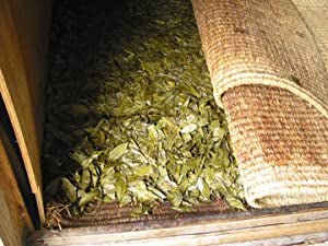 Goishicha from the Otoyo Town Goishicha Producer's Association 大豊町碁石茶協同組合 『本場の本物』碁石茶 - Yunomi.life