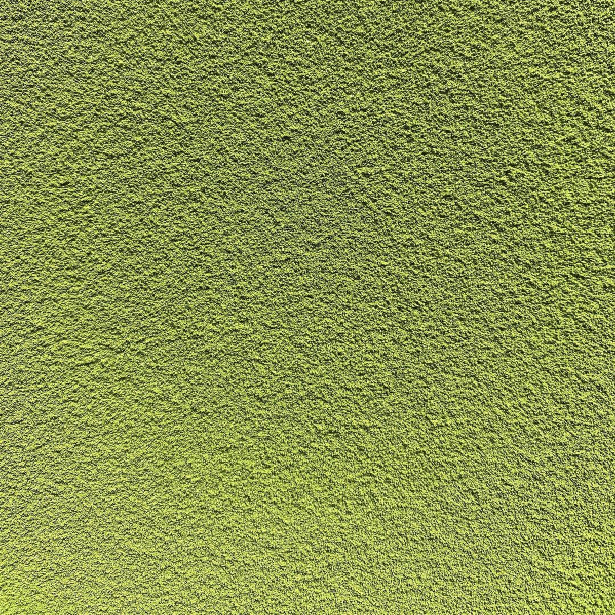 Nakai-teetila: Uji Matcha Seisho (Samidori) Standard Ceremoniaal Grade 30g, Wazuka, Kioto