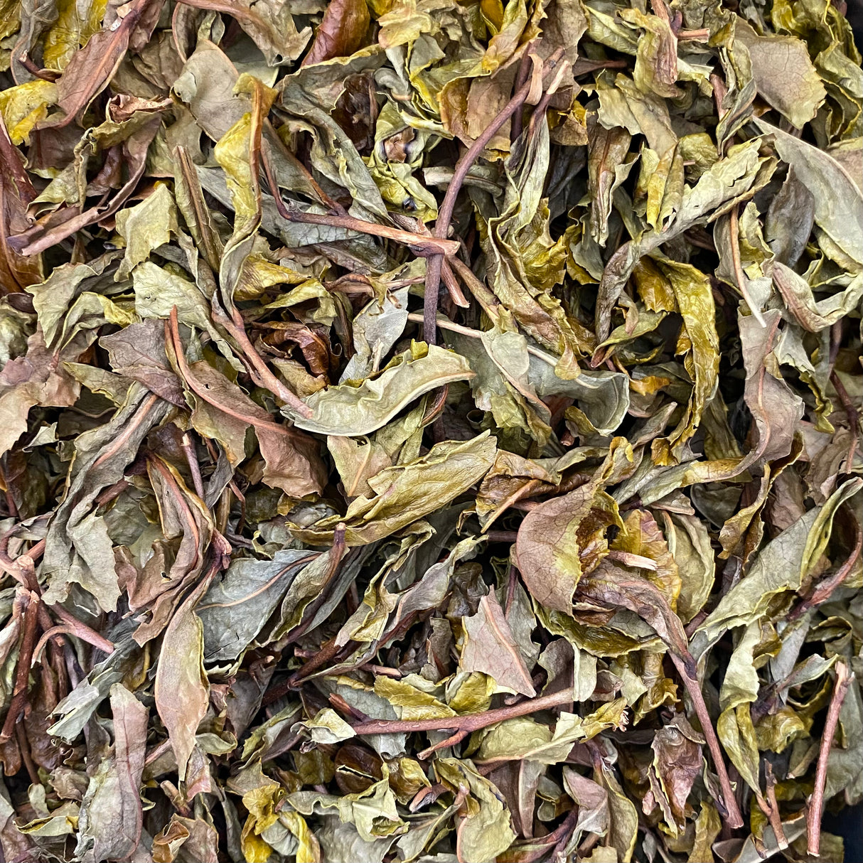 #0618.N3 みとちゃ NR004: 天日干し釜炒り春番茶 天日干し釜炒り春番茶