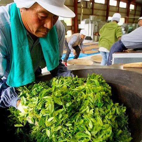 Kunitomo: Riguricha Choshunka - The Ancient Rose - Handpicked Kamairicha 2014 / 2018 / 2019 / 2020 - Yunomi.life