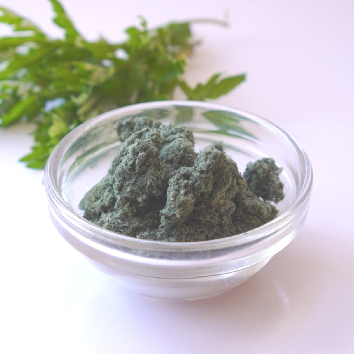 Yomogi (Mugwort) Powder from Aomori, Kyo no Kanbutsuya 京の乾物屋 青森産よもぎ使用よもぎ粉 - Yunomi.life