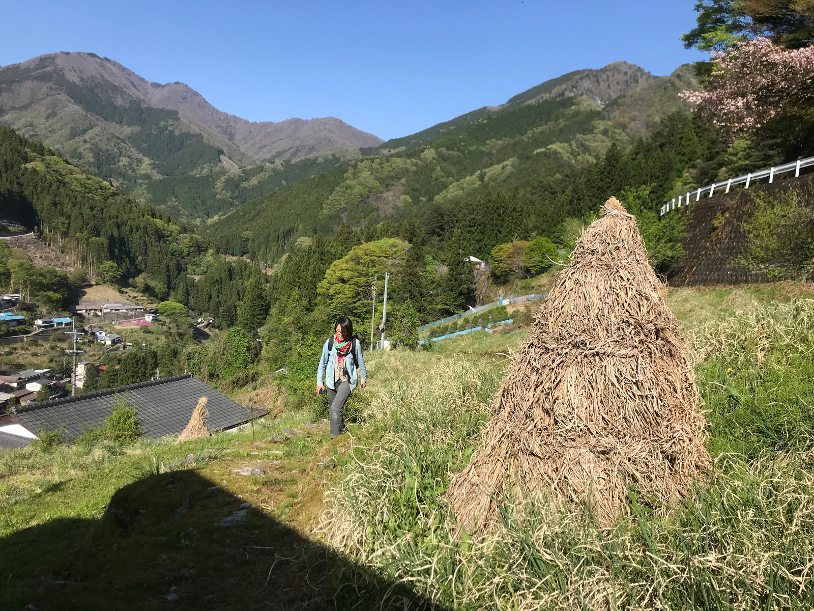 Grandma phantom tea in the mountains