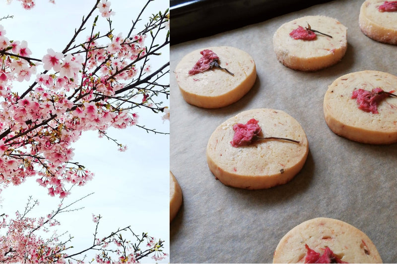 Eat and Taste Sakura Blossoms! - Sakura Biscuits Recipe - - Yunomi.life