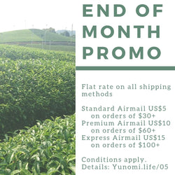 Flat-rate shipping promotion, May 2019 - Yunomi.life