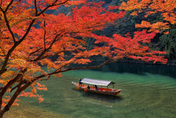 The Colors of a Season: Experience Autumn Foliage from Hokkaido to Kyushu - Yunomi.life