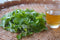 What's Yomogi (Japanese mugwort)? The History as Food and Herbal Medicine - Yunomi.life
