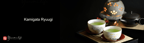 Kamigata Ryugi Banner