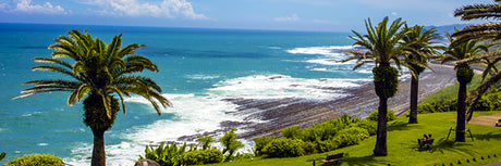 Products Made in Miyazaki