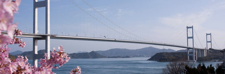 Products Made in Ehime - Yunomi.life