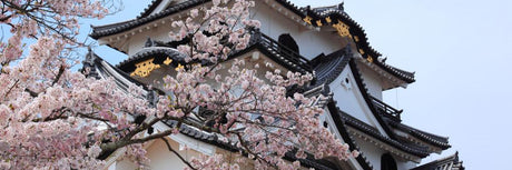 Products Made in Shiga