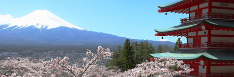 Products Made in Yamanashi