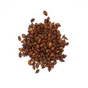 #1110.T2 Wakaba Farm: Naturally Grown Mugicha (Barley Tea) – Whole Roasted Barley yunomi.life