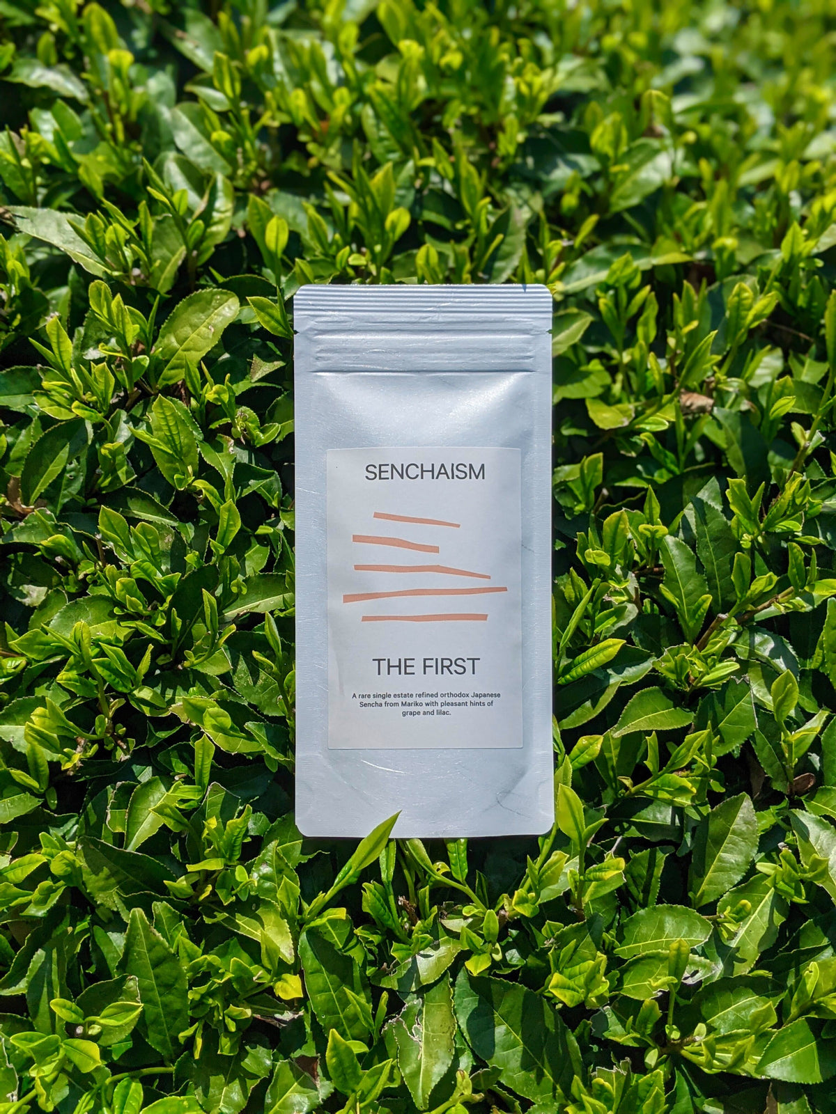 #1143 Per Oscar Brekell’s Senchaism: The First - Ultra Rare Single Cultivar Kondōwase Spring Shizuoka Sencha yunomi.life 3