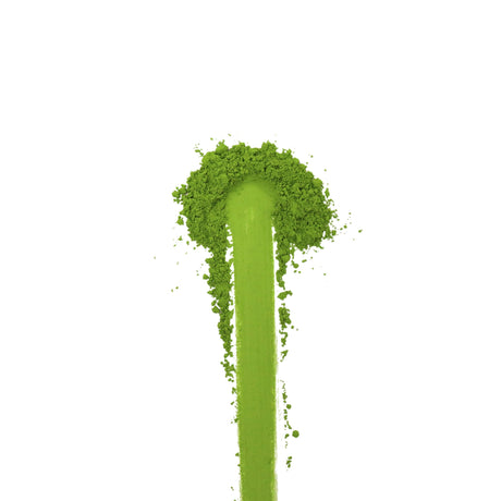 #1151 AOI Seicha: Nishio Matcha - Shiou, Stone mill ground Koicha Matcha (20g) 御濃茶、紫凰