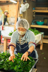 #0946.J1 Hiroko’s Herb Garden: Dried Bergamot Mint Herbal Tea Grown in Koga Village, Ibaraki, Japan