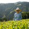 Ayumi Farms (Cyittorattu): 2023 Sencha that Laughs with the Mountains 山と笑う煎茶