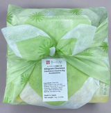Kilogram Clearance 50% off 2024 Harvested Green Tea Fukubukuro Surprise Bag