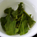 Baisa Nakamura: Kirishima Sencha Asanoka (Single Cultivar)